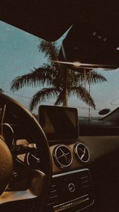 Instagram post by @nolaviva