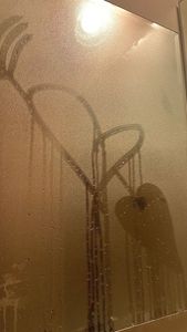 Instagram post by @nolaviva