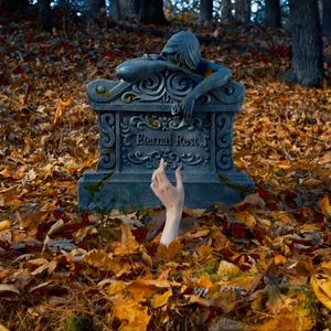 Instagram post by @sarahmcgonagall