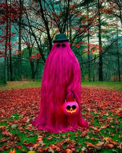 Instagram post by @sarahmcgonagall