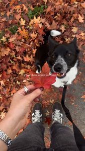 Instagram post by @thesunalsoreads