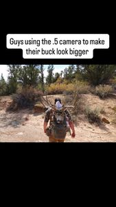 Instagram post by @shedcrazy