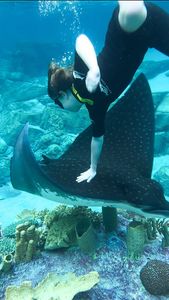 Instagram post by @welltraveledchild