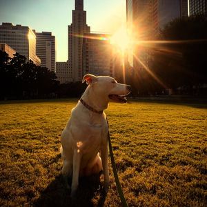 Instagram post by @turtlecreek.foodie