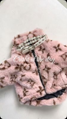 Instagram post by @divina_luna_the_chihuahua