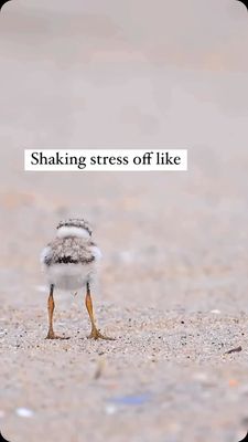 Instagram post by @drbettymurray