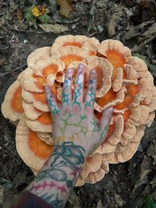 Instagram post by @gothcatdog