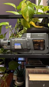 Instagram post by @mollyrrusso