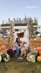 Instagram post by @annnsvan