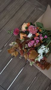 Instagram post by @lindseyraemyers