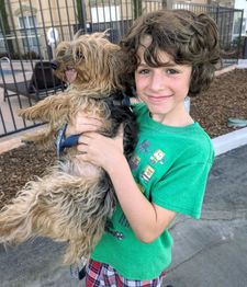 Instagram post by @azrieldalman