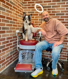 Instagram post by @adrianstoica.dogcoach