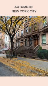 Instagram post by @hernewyorkedit