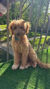 Instagram post by @thecurvynancy