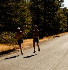 Instagram post by @mattinglisfox