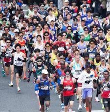 Instagram post by @mattinglisfox