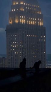 Instagram post by @bokeh_city