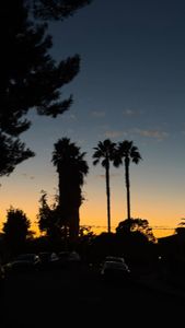 Instagram post by @ameliedesai