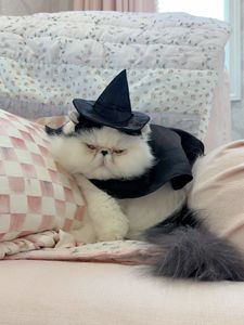 Instagram post by @fivefootfeminine