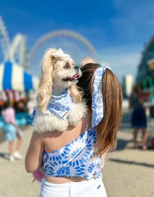 Instagram post by @wakanda_shihtzu