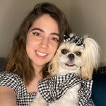 @wakanda_shihtzu Instagram Profile