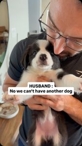 Instagram post by @stiltontheaussie