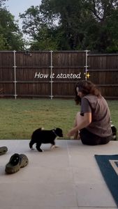 Instagram post by @stiltontheaussie