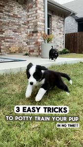 Instagram post by @stiltontheaussie