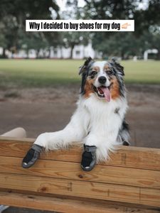 Instagram post by @stiltontheaussie