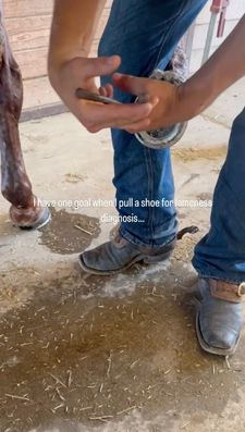 Instagram post by @rockingkmvet