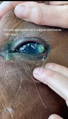 Instagram post by @rockingkmvet