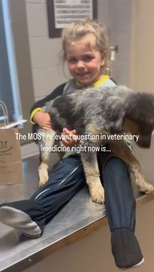 Instagram post by @rockingkmvet