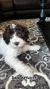 Instagram post by @doodle_charlotte