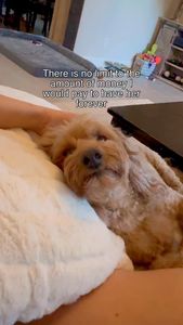 Instagram post by @doodle_charlotte