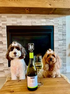 Instagram post by @doodle_charlotte