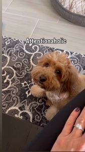 Instagram post by @doodle_charlotte