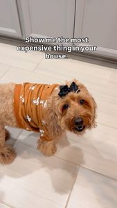 Instagram post by @doodle_charlotte