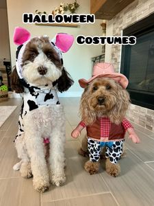 Instagram post by @doodle_charlotte