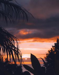 Instagram post by @roice_bethel