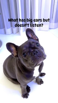 Instagram post by @princesspraga