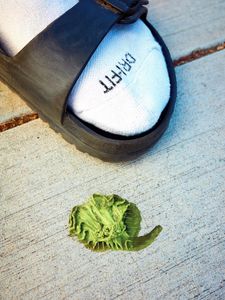 Instagram post by @alexcrawfordphoto