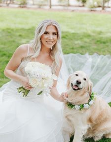 Instagram post by @lifeofdaisythegolden