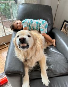 Instagram post by @lifeofdaisythegolden