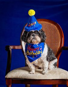 Instagram post by @corneliuscornbreadchronicles