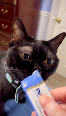 Instagram post by @corneliuscornbreadchronicles