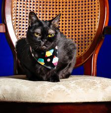 Instagram post by @corneliuscornbreadchronicles