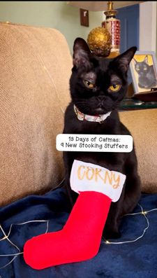 Instagram post by @corneliuscornbreadchronicles