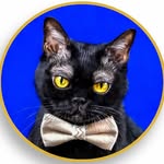 @corneliuscornbreadchronicles Instagram Profile