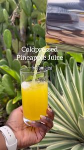 Instagram post by @shaniquethekreativevegan