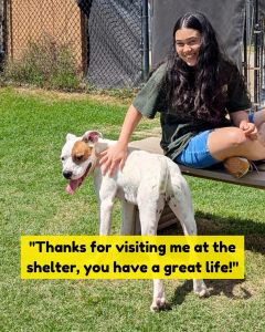 Instagram post by @rakishricha